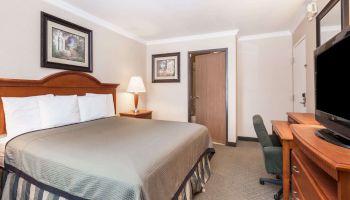 A hotel room featuring a bed, bedside table with lamp, flat-screen TV on a dresser, chair, artwork on the walls, and a door.